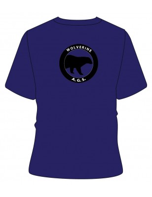 Blue HS [ P.E ] T.Shirt -- [KG2 - GRADE 12]