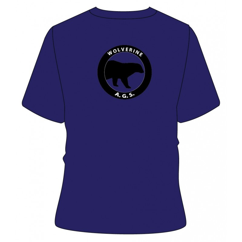 Blue HS [ P.E ] T.Shirt -- [KG2 - GRADE 12]