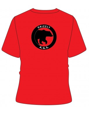 Red HS [ P.E ] T.Shirt -- [KG2 - GRADE 12]