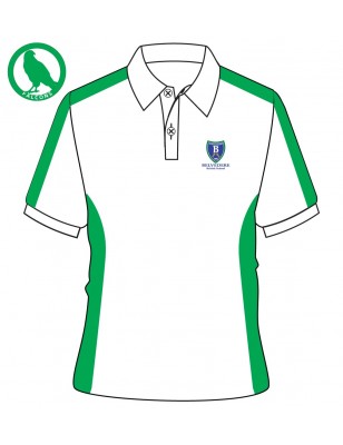 House Colour Polo  [ P.E ] T-Shirt -- [FS2 - YEAR 13 / KG1 - GRADE 12]