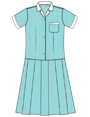 Check Dress -- [FS1 - YEAR 6]