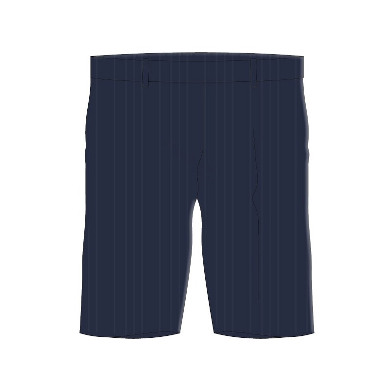 Navy Self Stripe Bermuda Short